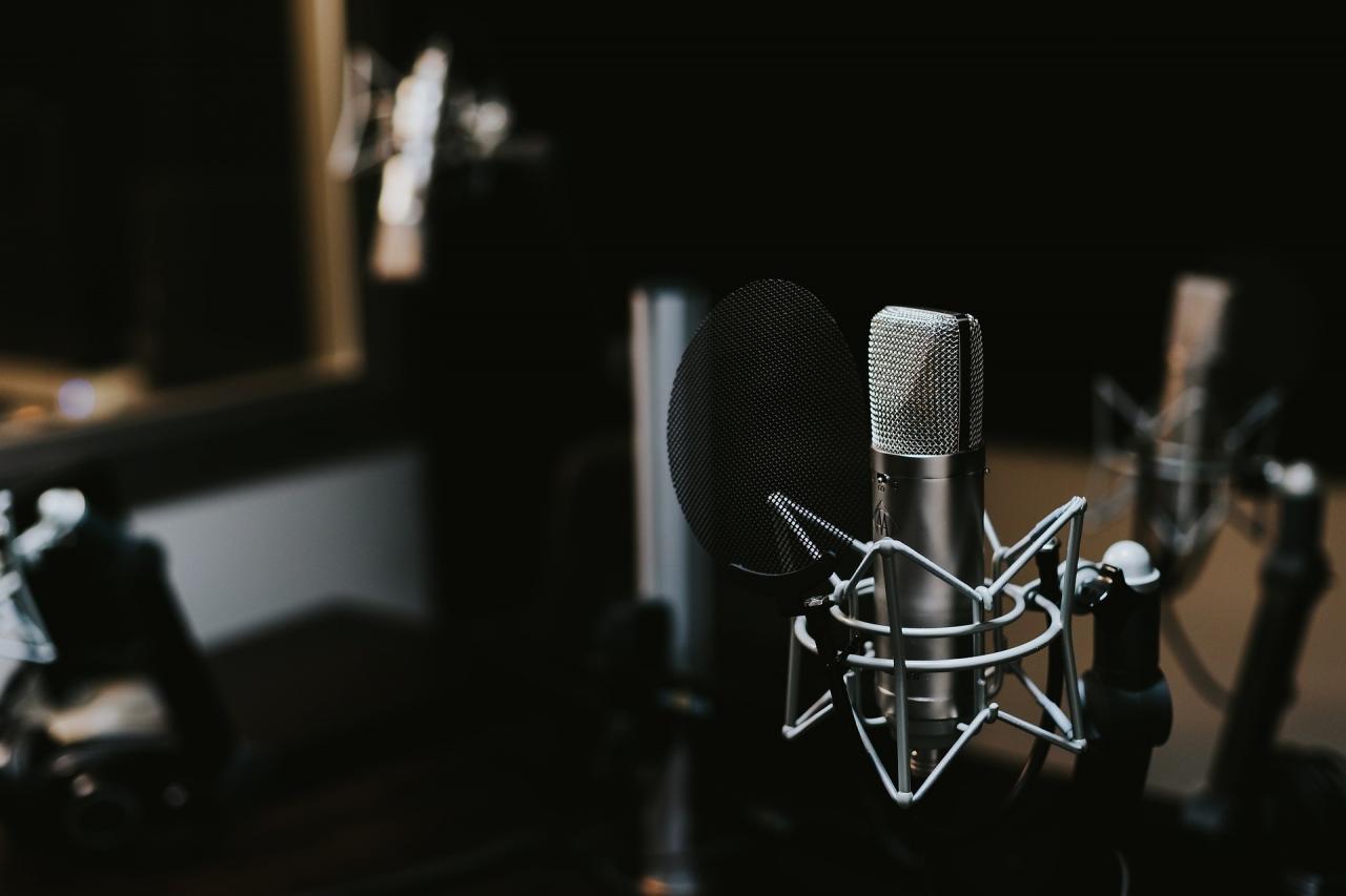 Los 7 mejores micrófonos para la grabación de voz