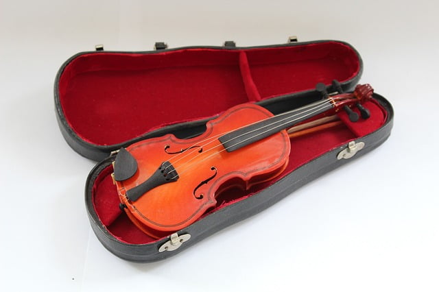 Los 8 mejores estuches para violin